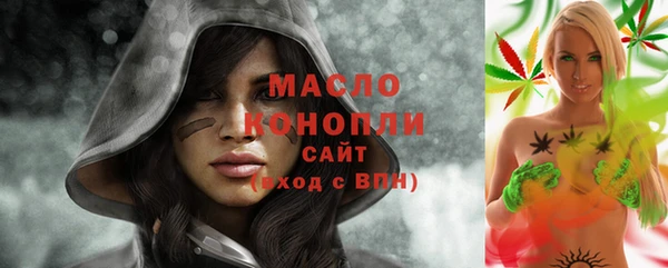 гидра Михайловск