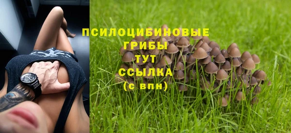 mix Аркадак